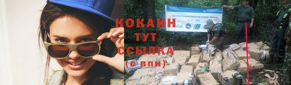 дживик Ростов