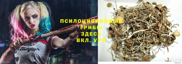 дживик Ростов