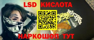 спиды Кингисепп