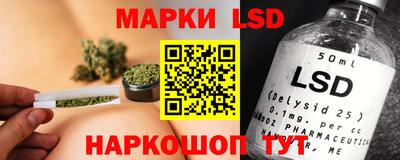 спиды Кингисепп