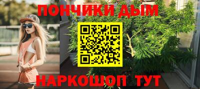 спиды Кингисепп