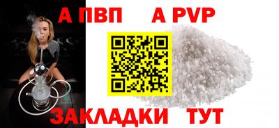 спиды Кингисепп