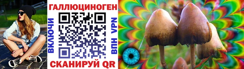 Галлюциногенные грибы GOLDEN TEACHER Солнечногорск
