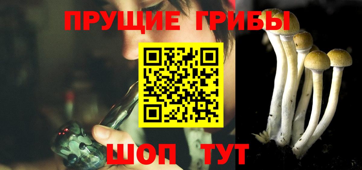 Псилоцибиновые грибы ЛСД  Вход с VPN  Галлюциногенные грибы MAGIC MUSHROOMS  Солнечногорск 
