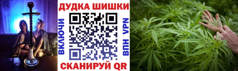 Каннабис планчик кракен маркетплейс Солнечногорск