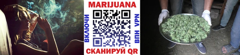 Каннабис сатива Солнечногорск